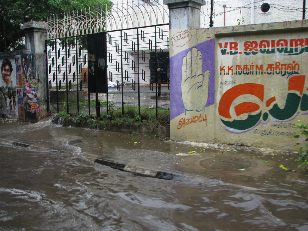 Drainage channels are blocked. Photo by McKay Savage