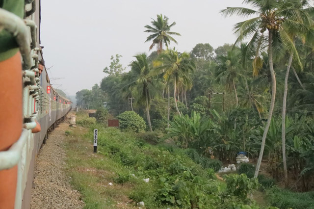 India's Cup trains in India