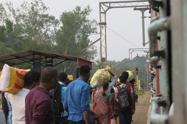 India's Cup trains in india