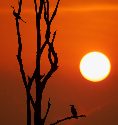 nagarhole national park