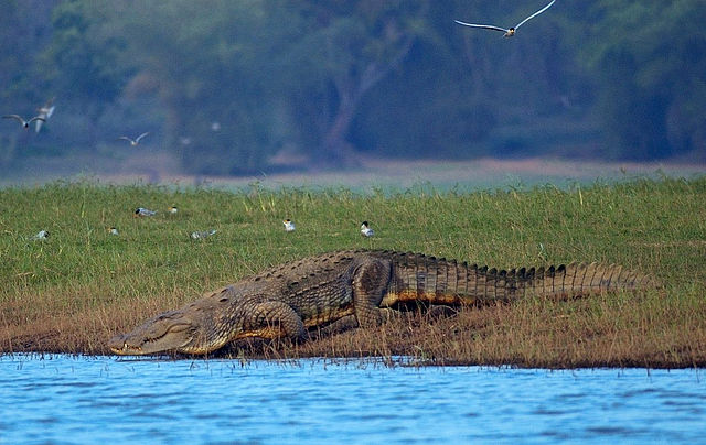 nagarhole national park