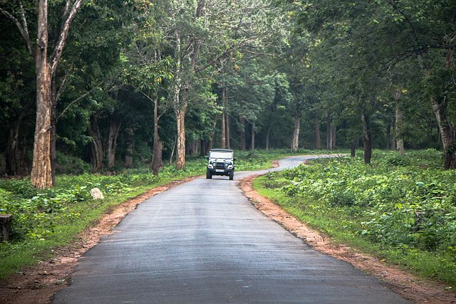 nagarhole national park