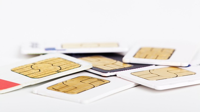 free pre-activated sim cards for tourists on arrival in India