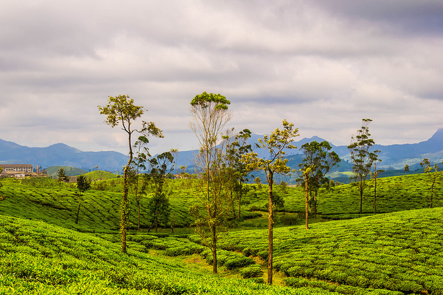 why we love tamil nadu