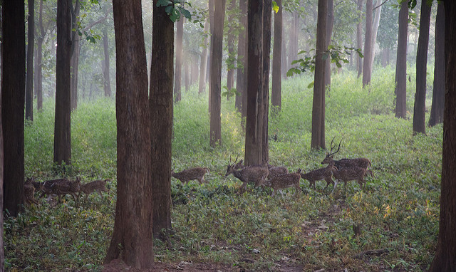 photos of karnataka