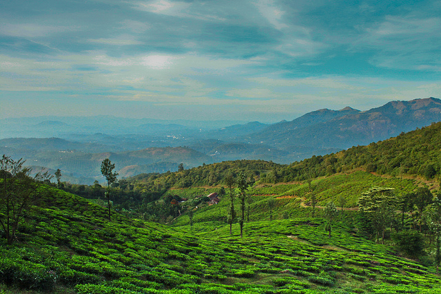 photos of kerala