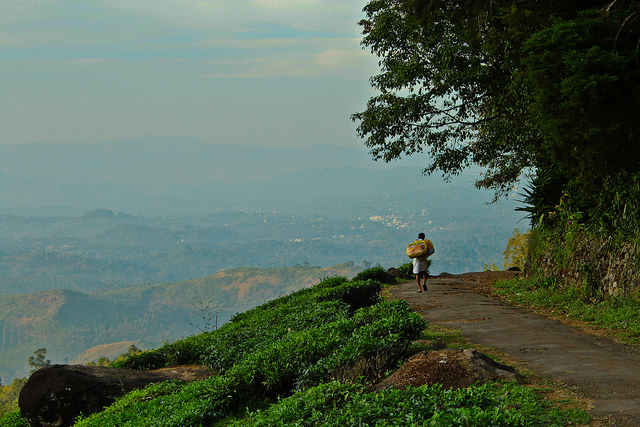 photos of kerala